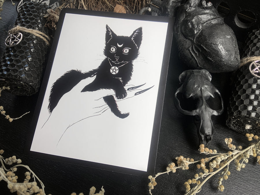 Black Kitten - Postcard