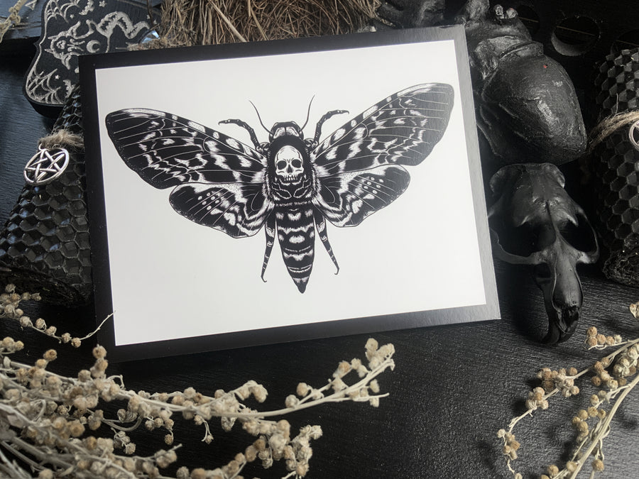 Death's-head hawkmoth - Postcard