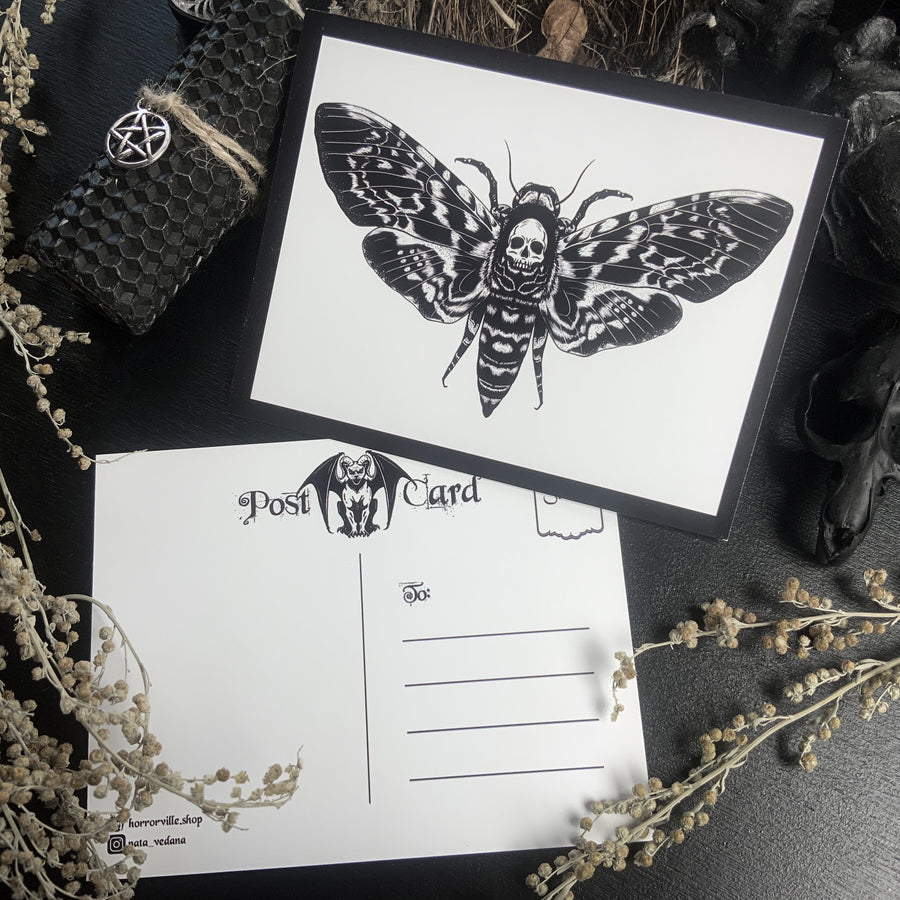 Death's-head hawkmoth - Postcard