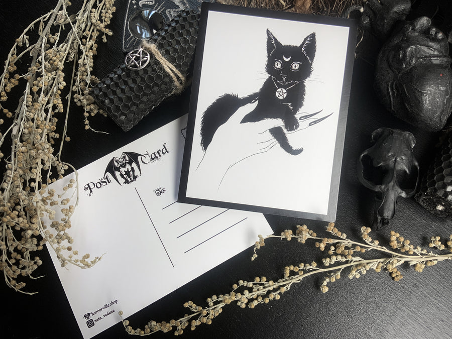 Black Kitten - Postcard