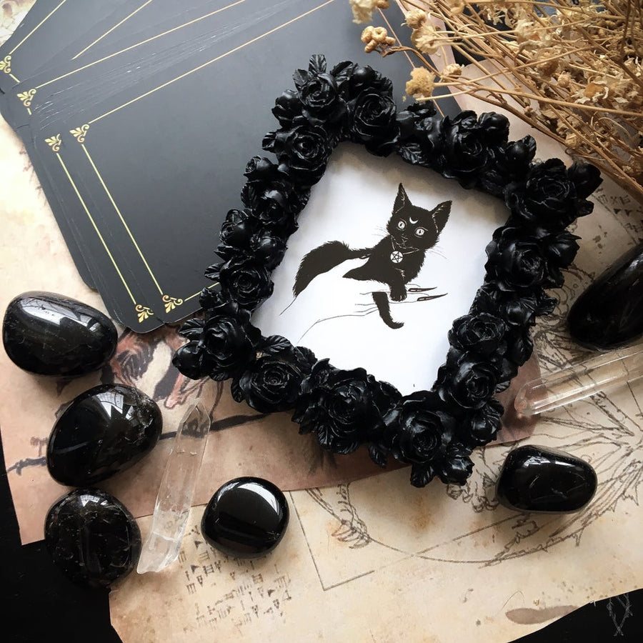 Vintage framed - Black Kitten